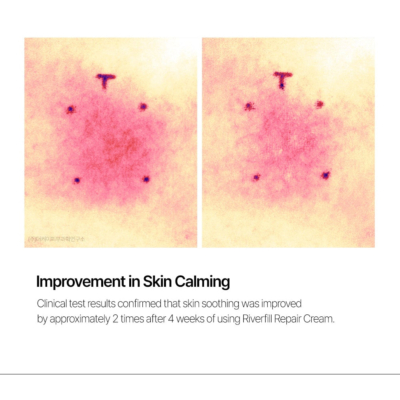 Complete CELL29 Repair Set - Image 3